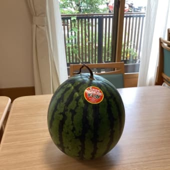 🍉スイカの名産地〜🍉