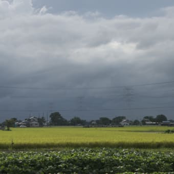 今日の空