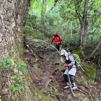 2024年6月１６日 『青葉山』登山レポ－ト