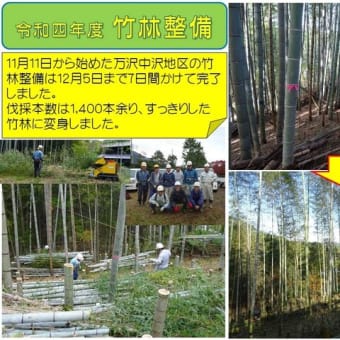 令和四年度も竹林整備を行います。
