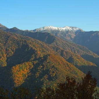 冠雪した南アルプスと紅葉