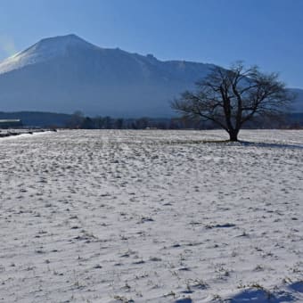 この冬に見た白いお山まとめ（2019年12月、2020年1月、2月）