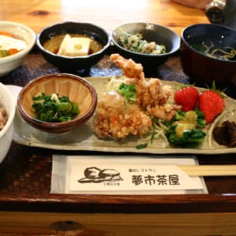 春を探しに！