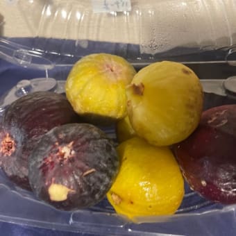今年も「いちじく」が届きました
