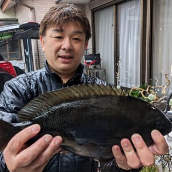 南伊豆 下流 今日の釣果