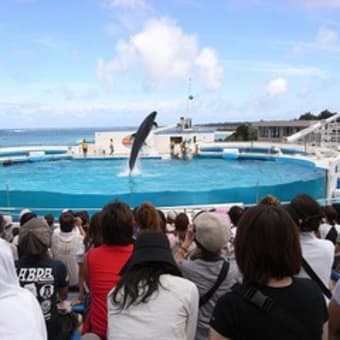 ２日目