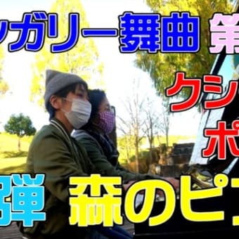 ピアノ連弾　クシコスの郵便馬車　ハンガリー舞曲 第5番　森のピアノ