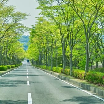 曇りのち晴れ