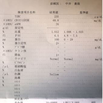 ボチボチ良好？。