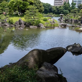 清澄庭園、初夏の彩り。