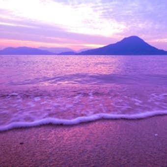 繰り返す夏への想い