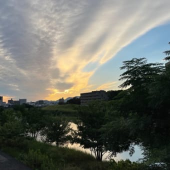 秋の文芸（その四）＊菊や葛の花など🍁短歌