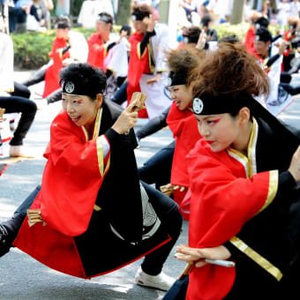 画像一覧 よさこい にかける青春 画像一覧 よさこい にかける青春