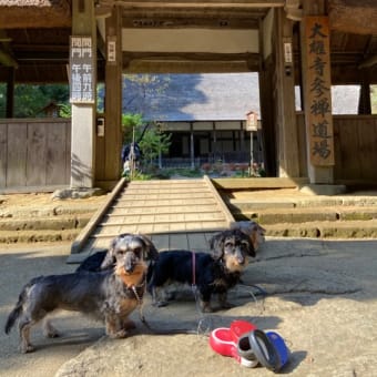 2021年11月ワンコと那須旅行　黒羽根城址公園