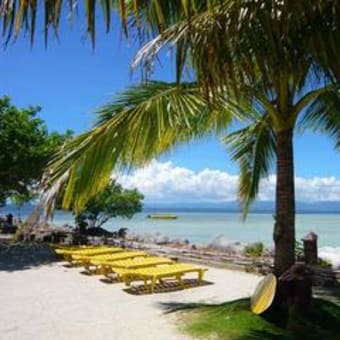エスティアグループ社員旅行INセブ島！