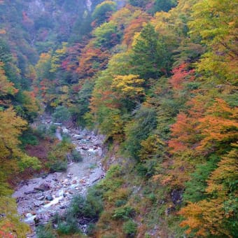 高瀬渓谷の紅葉