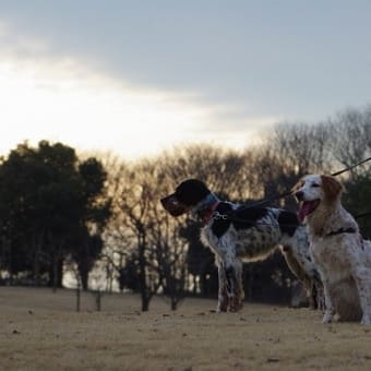 わんぱく公園でお散歩