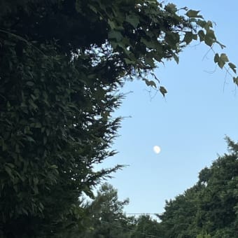 ◇　夕暮れ散歩　　今日は七夕