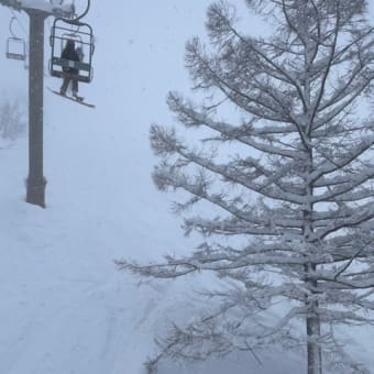 3月にして今シーズン最大の積雪か？