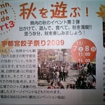 宇都宮餃子祭り2009の記事