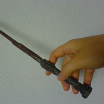 ハリーポッターの魔法の杖 さぶりんブログ