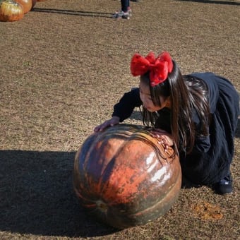 全日写連神奈川 月例審査会（2020年12月）入選作品