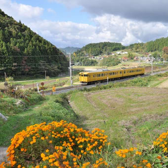 その１１