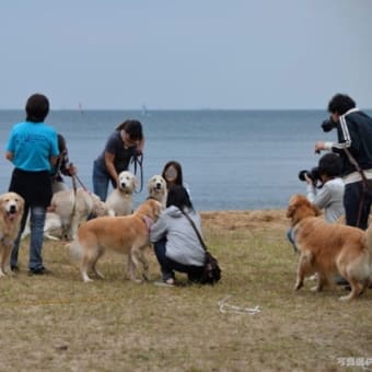 GRF琵琶湖オフ会2015