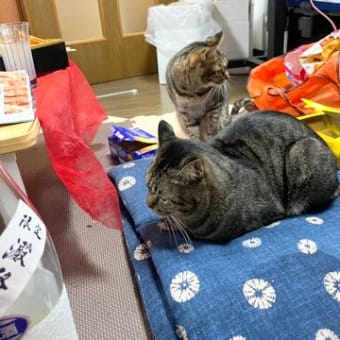 999日目