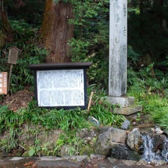 養老の滝