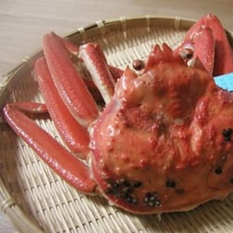 最近のこと