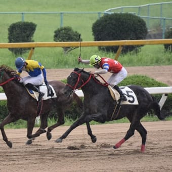 佐賀～長崎をウロウロドライブ！（１日目、佐賀編）