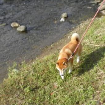 今日も良いお天気だったなぁ（⌒_⌒）ニコ 