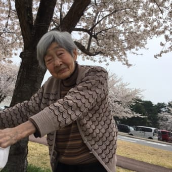 #お花見🌸
