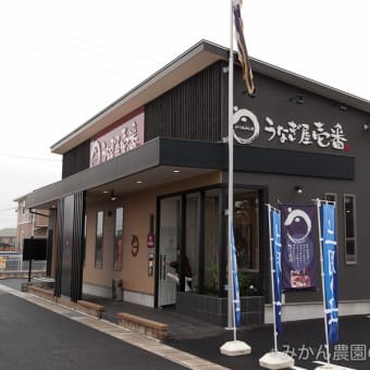 愛知県稲沢市・うなぎ屋壱番 稲沢下津店