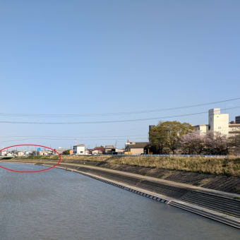 こんなに降ったんだ