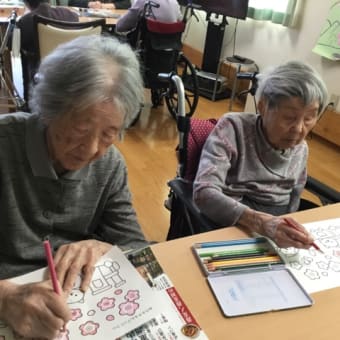 待ち遠しい桜🌸