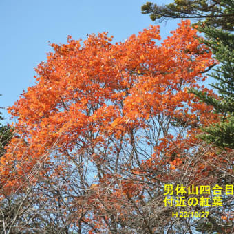 紅葉の中禅寺湖と山頂に樹氷の花咲く男体山（その2…男体山）