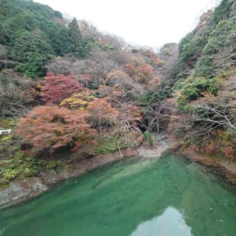 秋の余韻