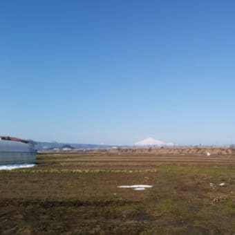 農園から眺める鳥海山