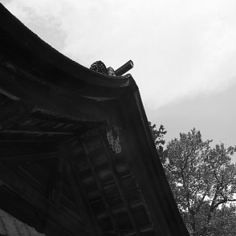 次男のお宮参り at 大縣神社