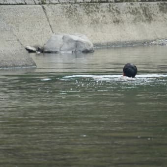 第４回「土木工事１日体験」その５　～夏がそうさせた～