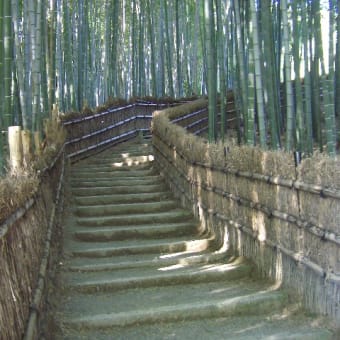 あだし野念仏寺　Ⅲ