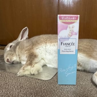 うさぎってだけで。