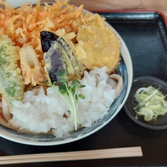 冷やしたぬきうどん　本手打うどん庄司