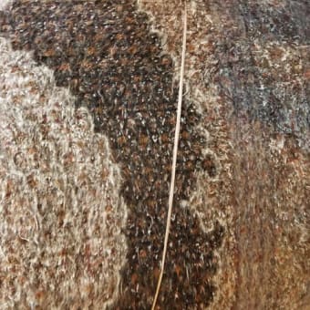 何千年も続くバザールでペルシャ絨毯