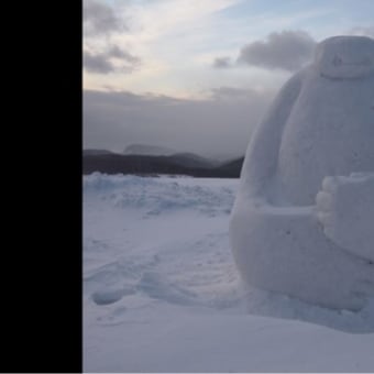 市民雪像ゆきまつりinだんパラ2日目(1)