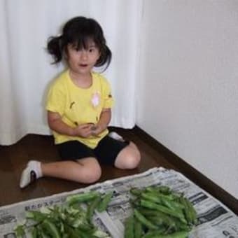 そらまめくんのベッド