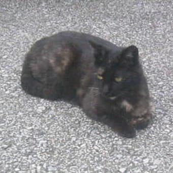 牛田駅にて