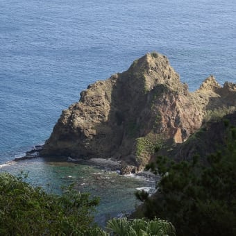 小笠原諸島　父島　母島の　旅　②